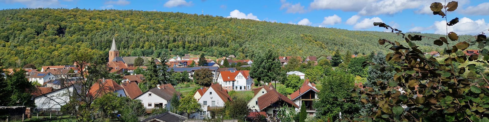       Gemeinde Esthal